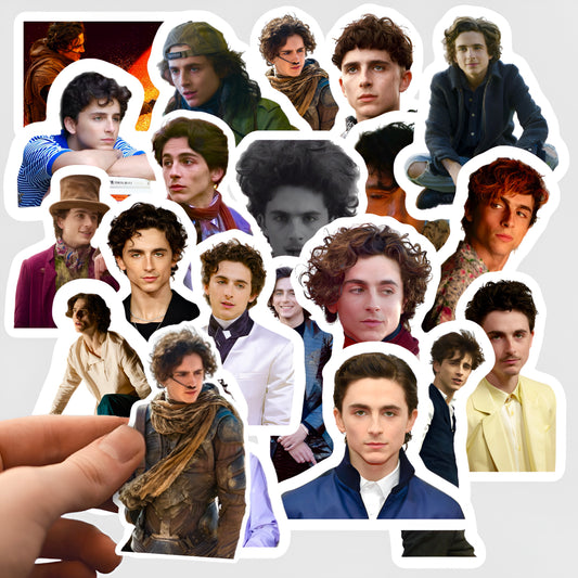 Timothée Chalamet Stickers 20 Piece